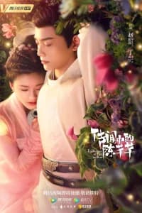 The Romance of Tiger and Rose (2020)