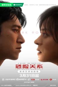 The Dark Romance (2026) Poster