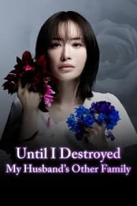 Until I Destroy My Husband's Family (2024) Poster