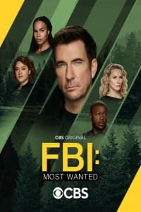 FBI: Most Wanted (2020)
