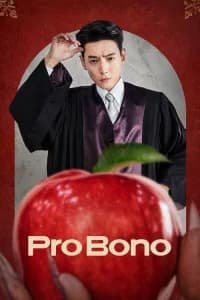 Pro Bono