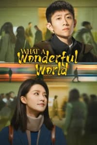 What a Wonderful World (2) Poster