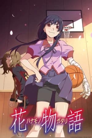S9 - Hanamonogatari