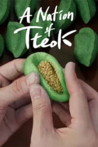 A Nation of Tteok Poster