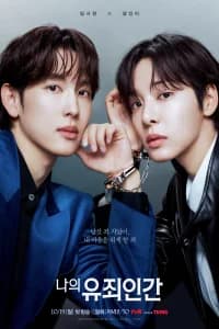 Love in Disguise Poster