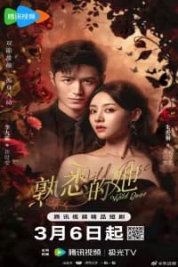 Wild Rose Poster
