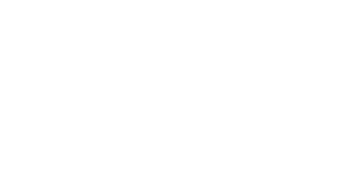 The Lion's Secret (2020)