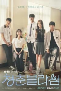 Seasons of Blossom aka Cheongchun Beullasseom
