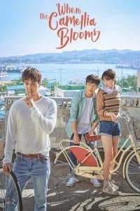 When the Camellia Blooms (Dongbaekkkot Pil Muryeop)