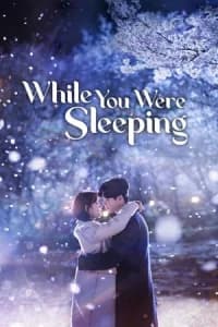 While You Were Sleeping (Dangshini Jamdeun Saie)