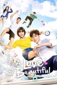 Zhi Wo Men Dan Chun De Xiao Mei Hao (A Love So Beautiful) (2017)