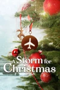 A Storm for Christmas (2022)